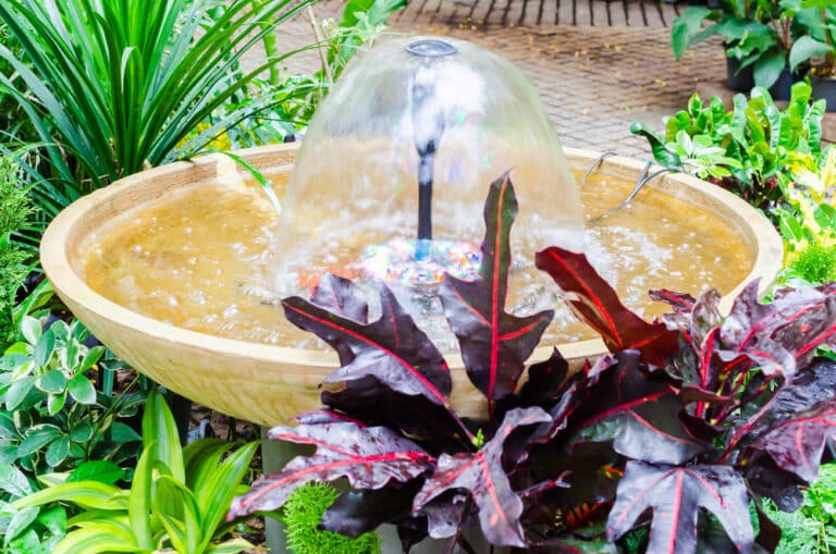 A Beginner’s Guide on How to Make a Solar Water Feature