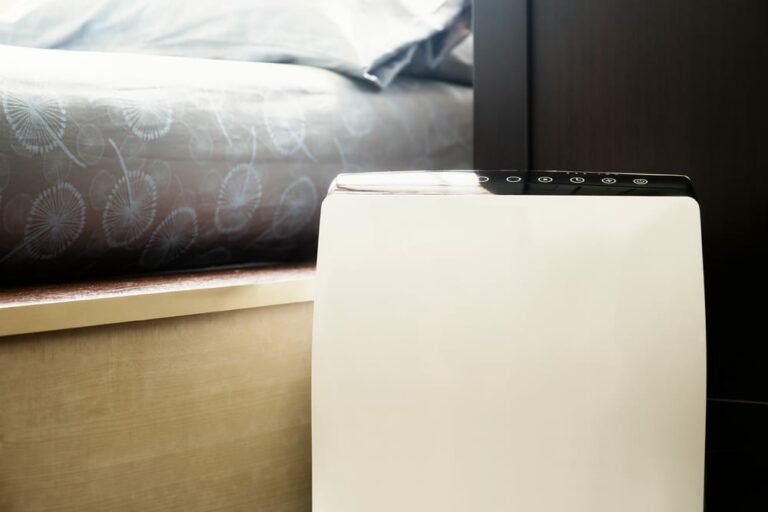 What Does an Air Purifier Do? 4 Benefits You Can’t Ignore