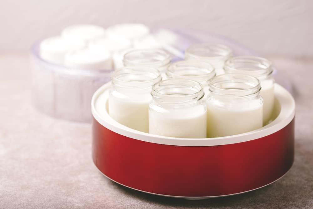 How to Use a Yoghurt Maker A StepByStep Guide House Happy