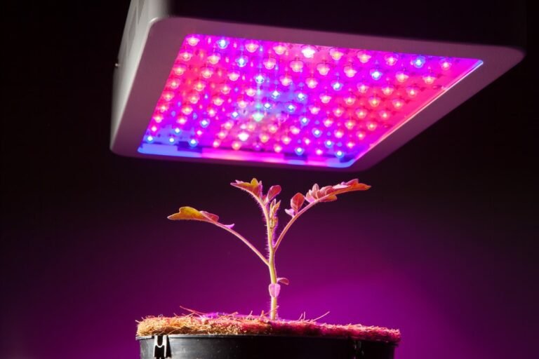 How Grow Lights Work: Do You Need Them?