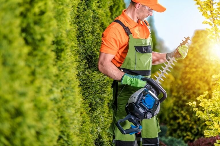 How to Sharpen a Hedge Trimmer: A Simple Guide for Every Beginner