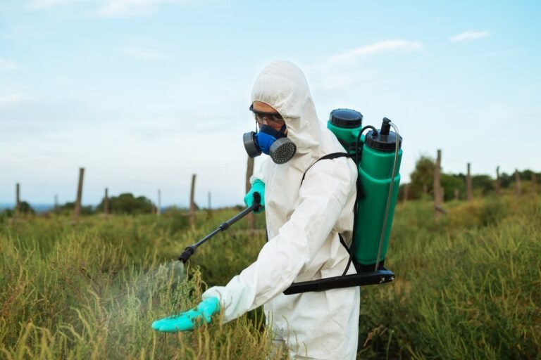 When to Use Weed Killer: Keep Your Lawn Healthy and Beautiful