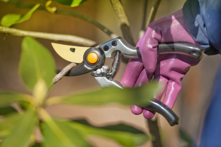 How to Clean Secateurs: Keeping Pruners Neat and Razor-Sharp