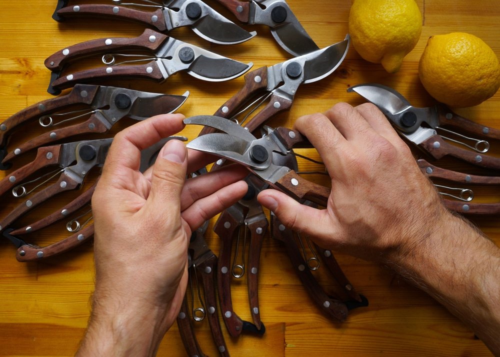how to sharpen secateurs