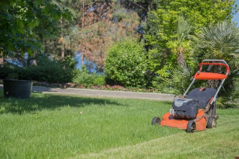 What Does a Lawn Scarifier Do? How to Keep Your Garden Green
