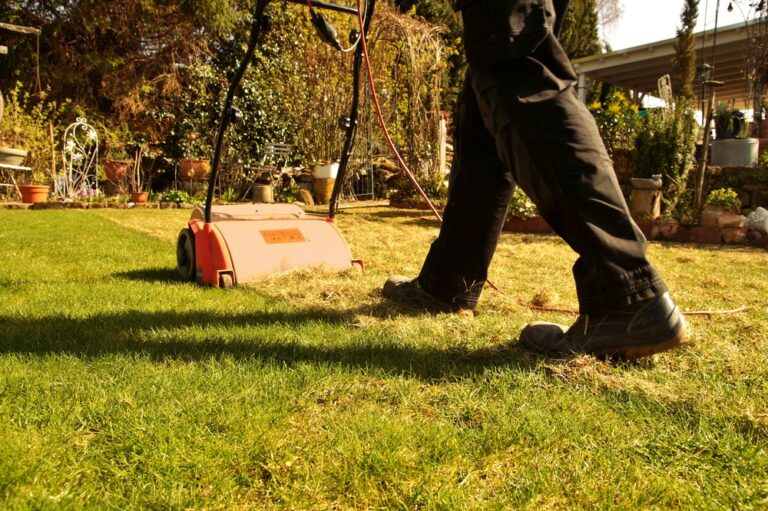 What Is a Lawn Scarifier? How Can It Help Your Garden?