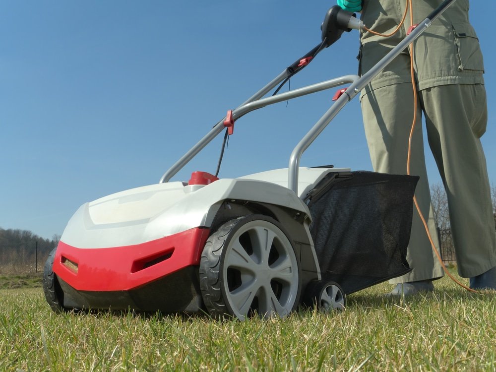 when to use a lawn scarifier