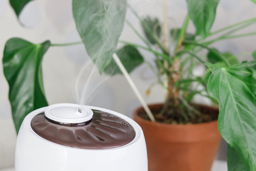 How Does a Humidifier Work