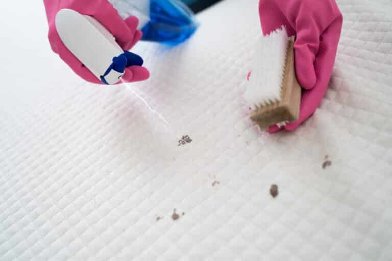 Tips and Tricks on How to Get Blood Out of a Mattress
