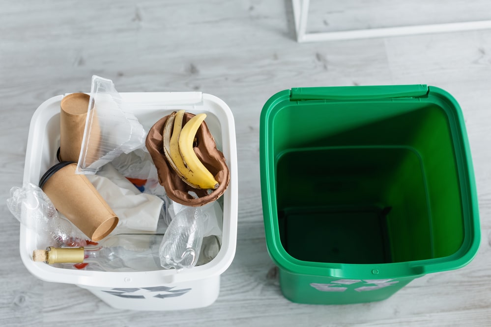 How Often Should You Empty a Kitchen Bin