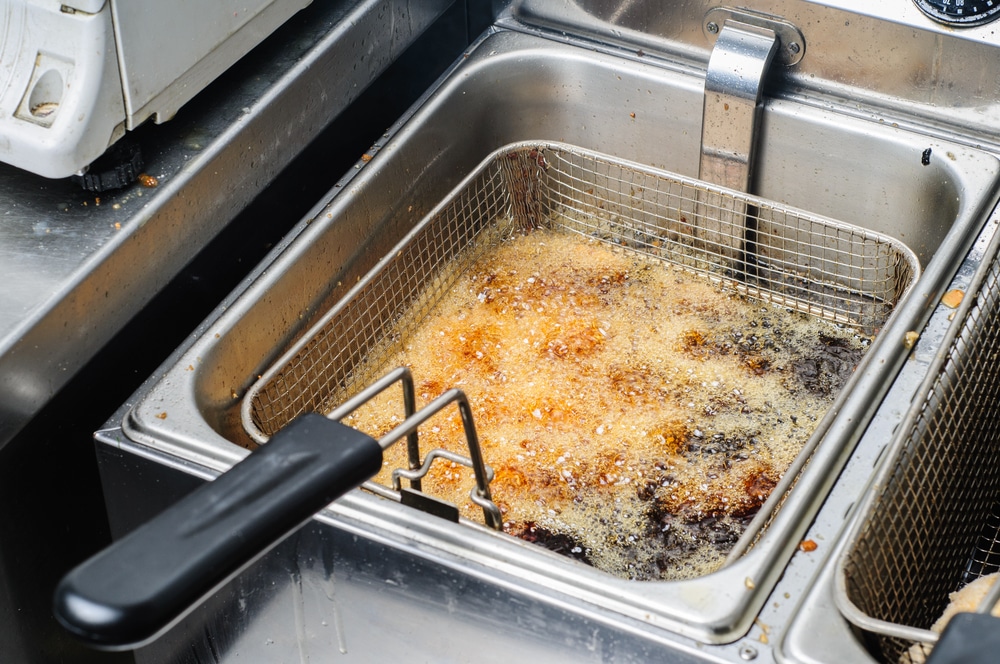 Are Deep Fat Fryers Safe? A Guide to Fryer Safety Basics House Happy