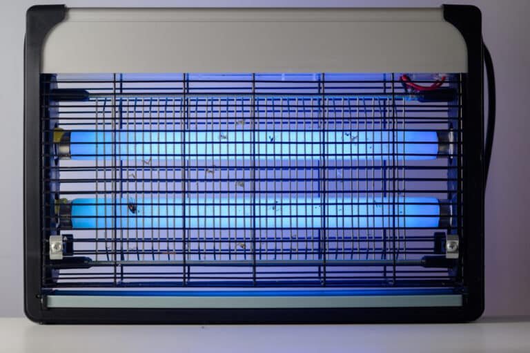 Are Fly Killers Harmful to Humans? Uncovering the Truth.