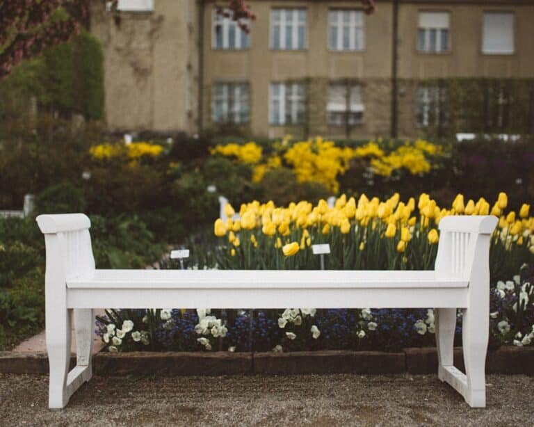 Where to Put a Garden Bench for Maximum Comfort and Aesthetics