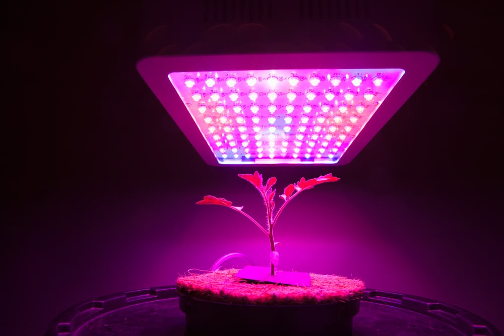 how to hang led grow lights