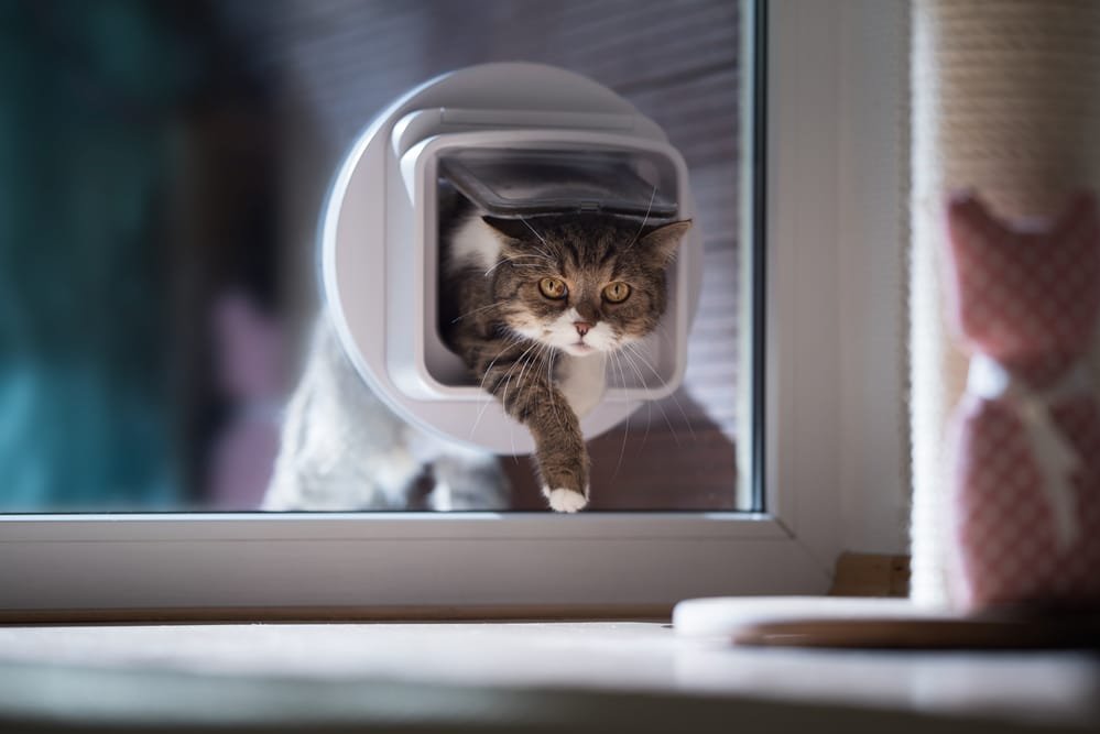 how to reset a microchip cat flap