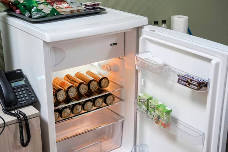 What Temperature Should a Mini Fridge Be Set At Correctly?