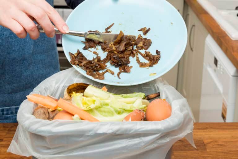Composting 101: What to Put in a Kitchen Compost Bin