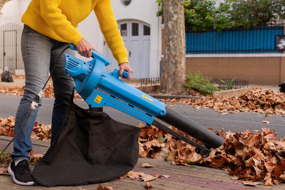 Garden Vacuum vs Leaf Blower
