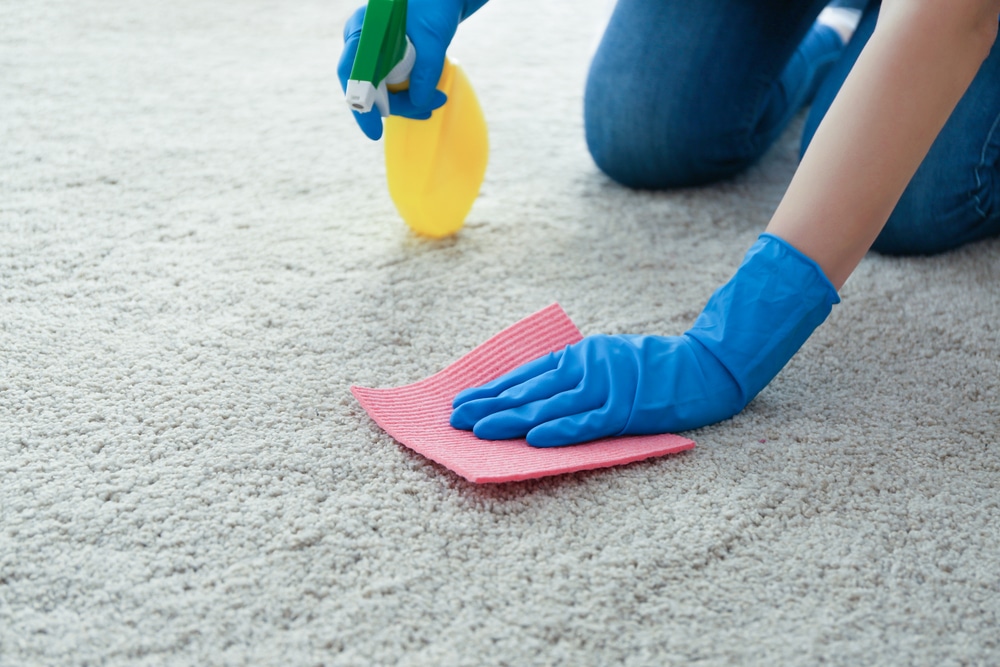 How to Deep Clean Carpet Without a Steam Cleaner
