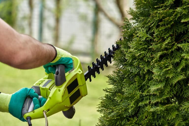 How to Fix a Jammed Hedge Trimmer: Step-by-Step Guide