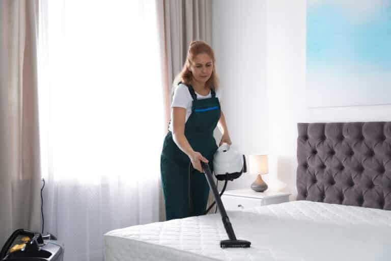 How to Get Rid of Bed Bugs with a Steam Cleaner: Find Out!