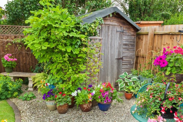 How to Hide a Garden Shed: 10 Clever Camouflage Ideas!