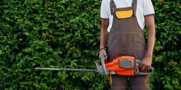 How to Store a Hedge Trimmer: The Ultimate Guide