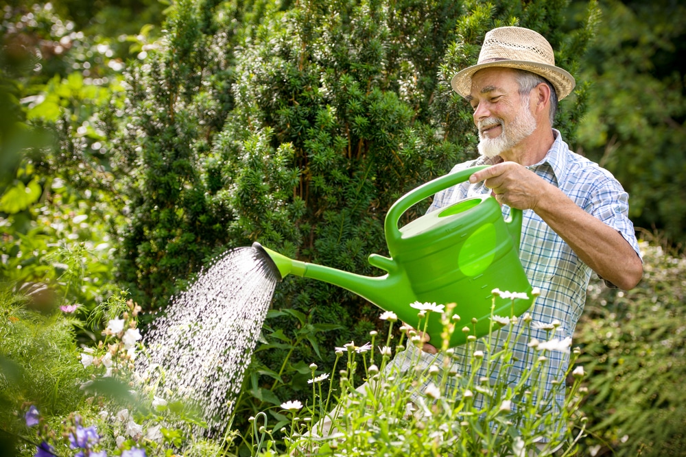 How to Water a Garden Without a Garden Hose