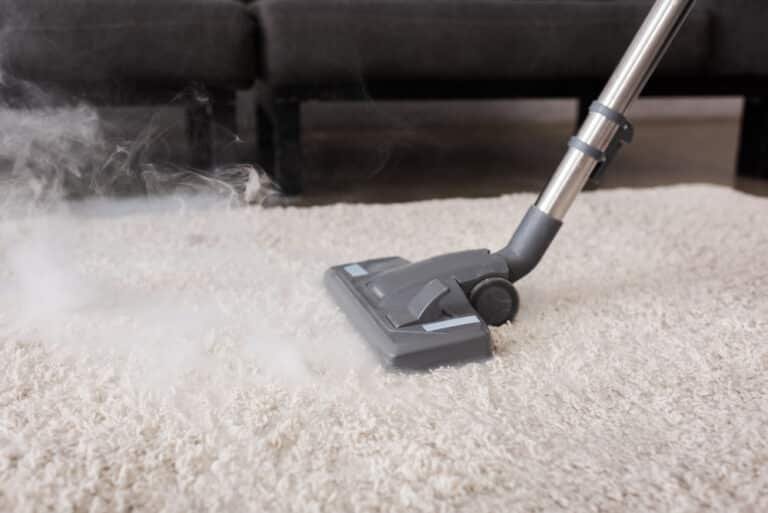 Steam Cleaner vs Carpet Cleaner: Which is Best for You?