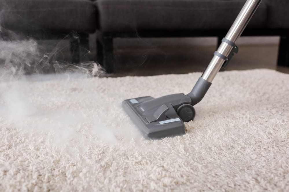 Steam Cleaner vs Carpet Cleaner