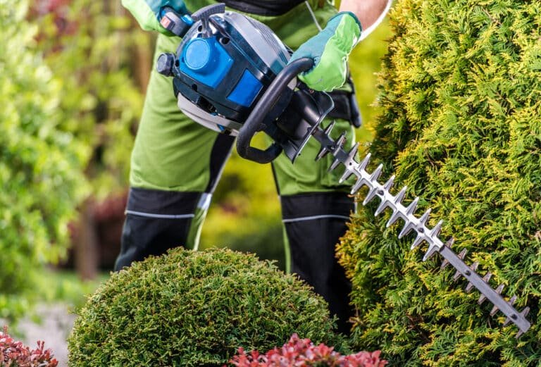 What Is the Difference Between a Hedge Trimmer and a Hedge Cutter?