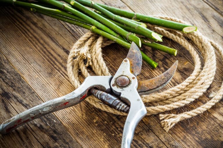 Quick Tips: What Oil to Use on Secateurs (and Why!)