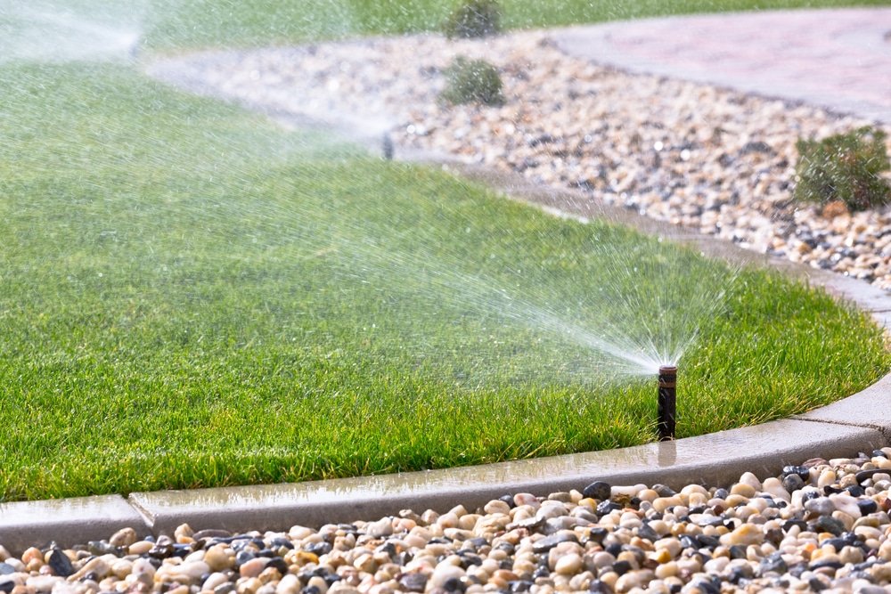 When to Water Your Lawn After Weed and Feed Treatments