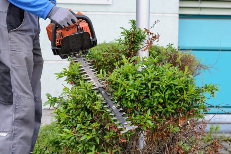 Which Type of Hedge Trimmer Do I Need? Let’s Find Out!