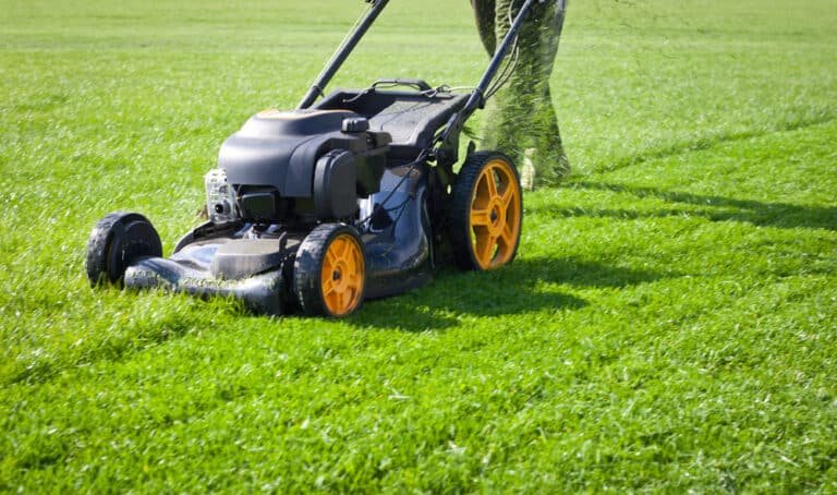 Who Invented the Electric Lawnmower? A Buzzy History Lesson!