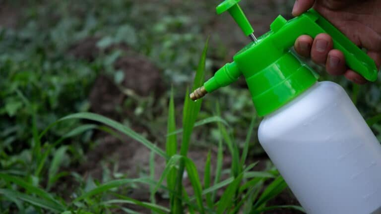 Why Do Weed Killers Not Kill Grass: A Gardener’s Guide