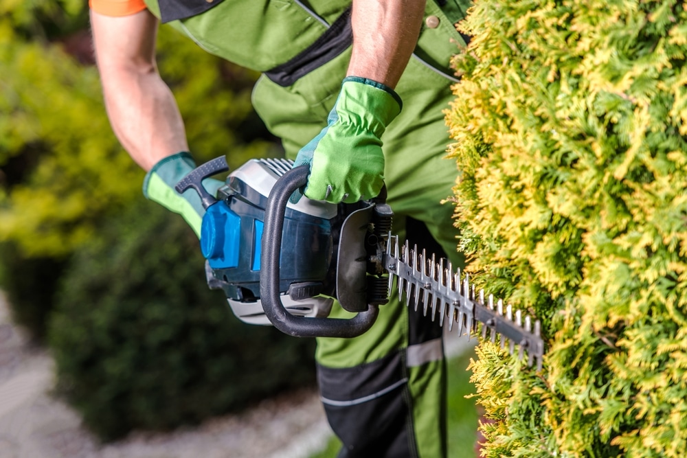 how to clean a hedge trimmer