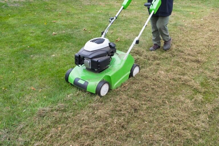 Transform Your Lawn: How to Make a Lawn Scarifier