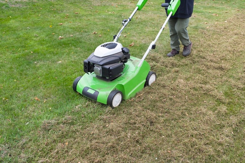 Transform Your Lawn How to Make a Lawn Scarifier House Happy