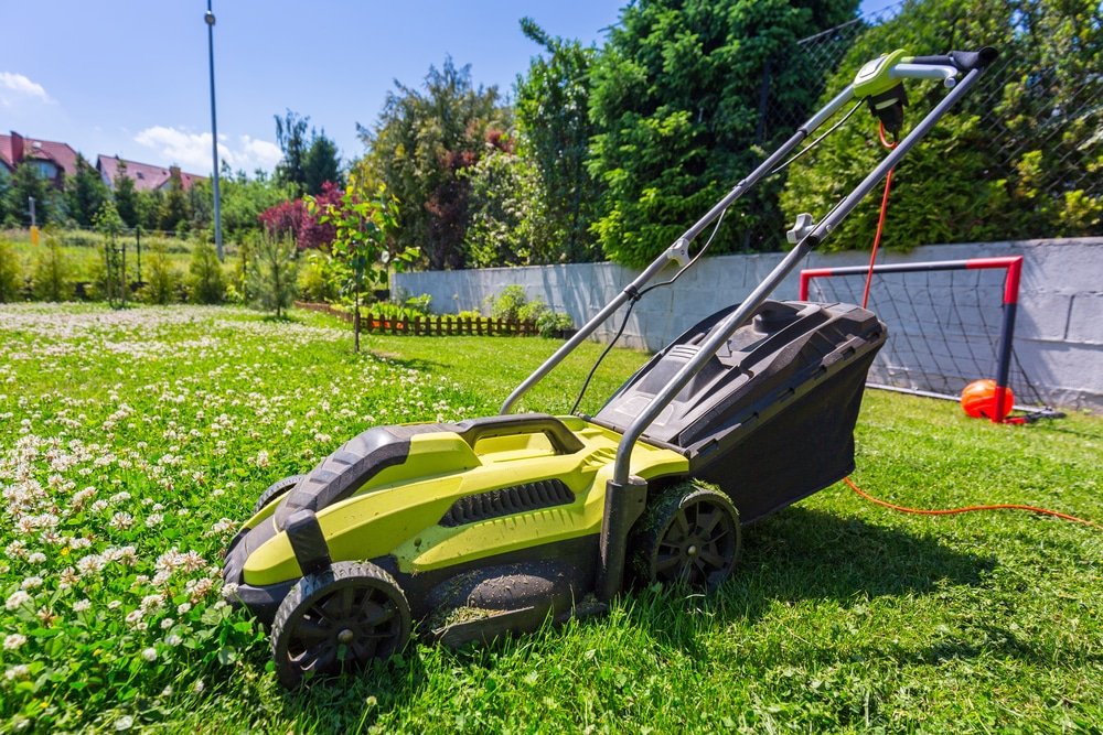 Lawn Scarifier vs Aerator Which Tool Is Right for You? House Happy