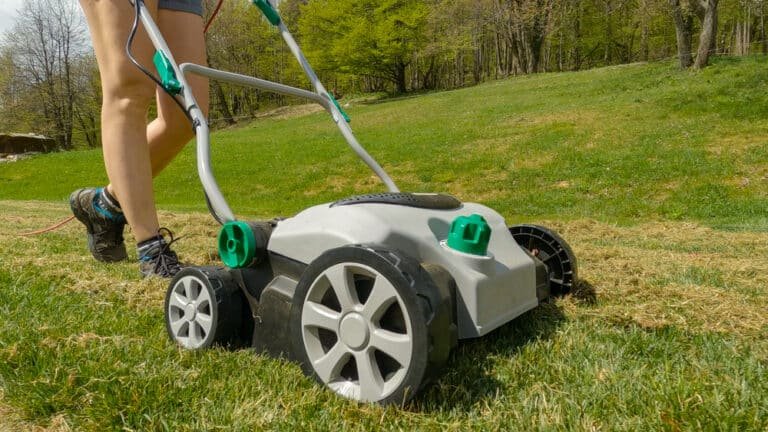 Lawn Scarifier vs Dethatcher: Which Is Right for Your Lawn?