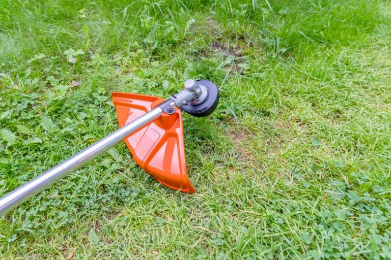 Uncovering the Mystery: When Was the Strimmer Invented?