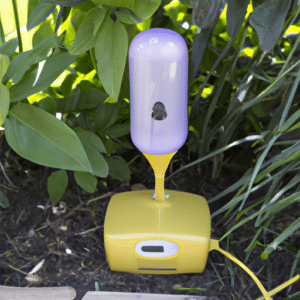 a cat repellent in the bush