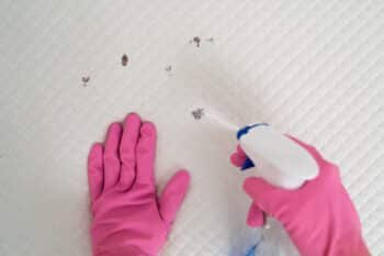 a person is removing tough stains using a strong cleaning solution