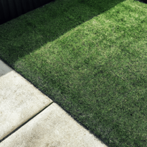 a small garden in the backyard