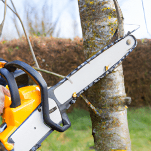 cutting a thick wood using an electric saw