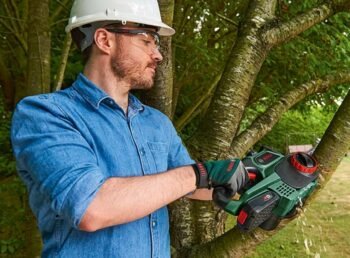 cutting a tree branch