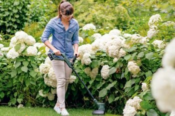 woman trimming grass