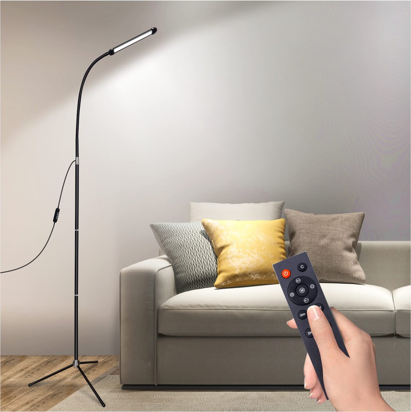 Amezin LED Floor Lamp