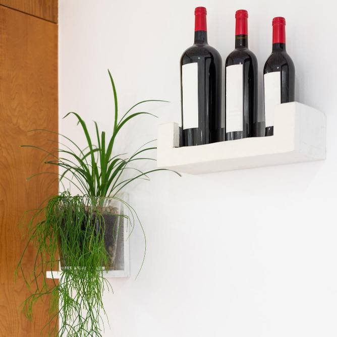 a kitchen decorated with plants and wine bottles
